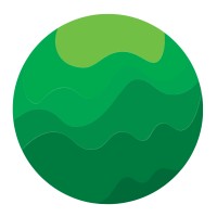 Happy Cabbage Analytics