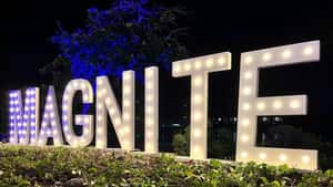 Magnite
