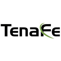 TenaFe Inc